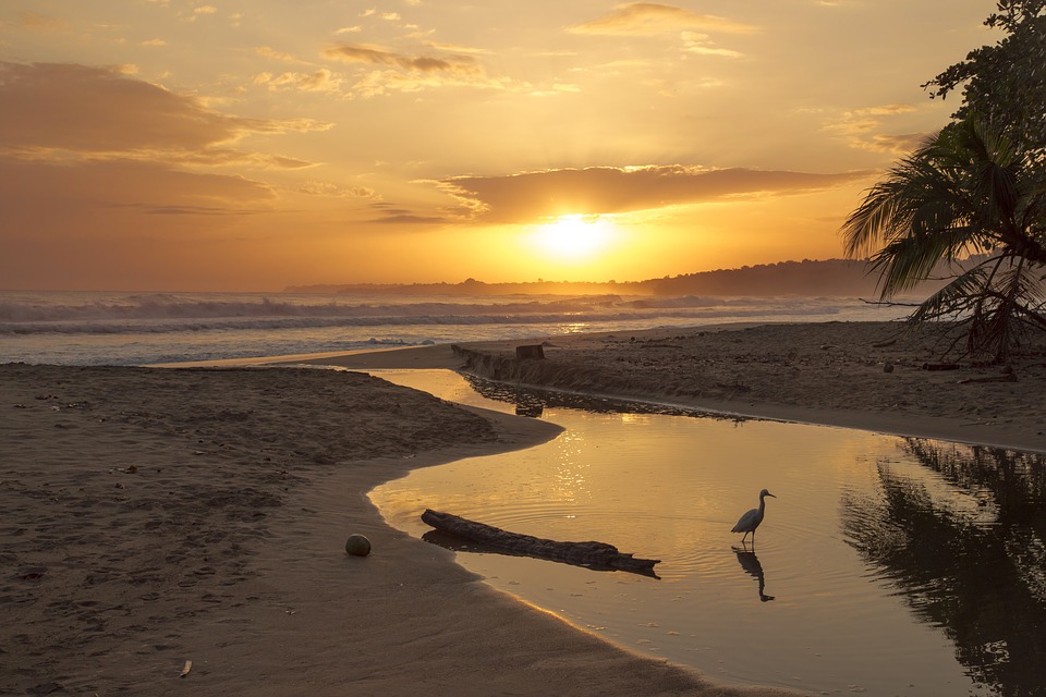 Costa Rica : les incontournables pour un voyage nature et dépaysement