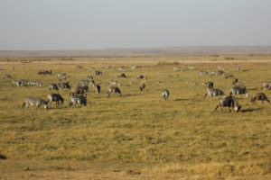 tanzanie lune de miel