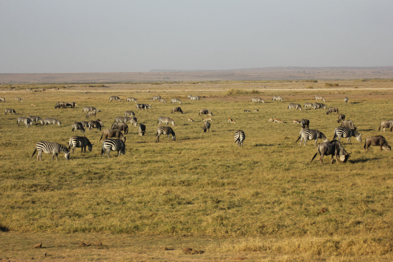 tanzanie lune de miel