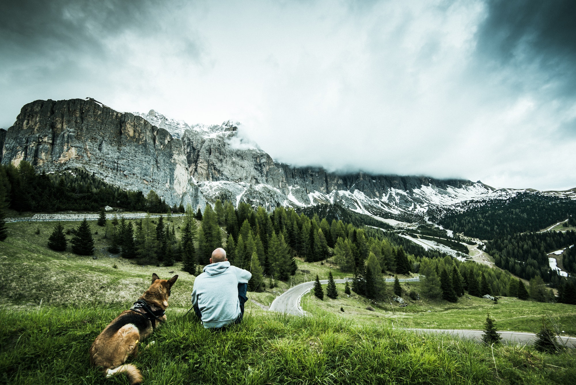 Man with dog on road trip at Gardena pass in Italy